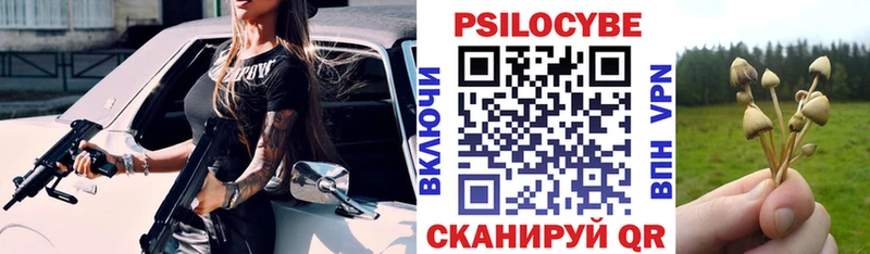 купить наркотики сайты  сайты даркнета как зайти  MEGA рабочий сайт  Псилоцибиновые грибы Magic Shrooms  Вязьма 